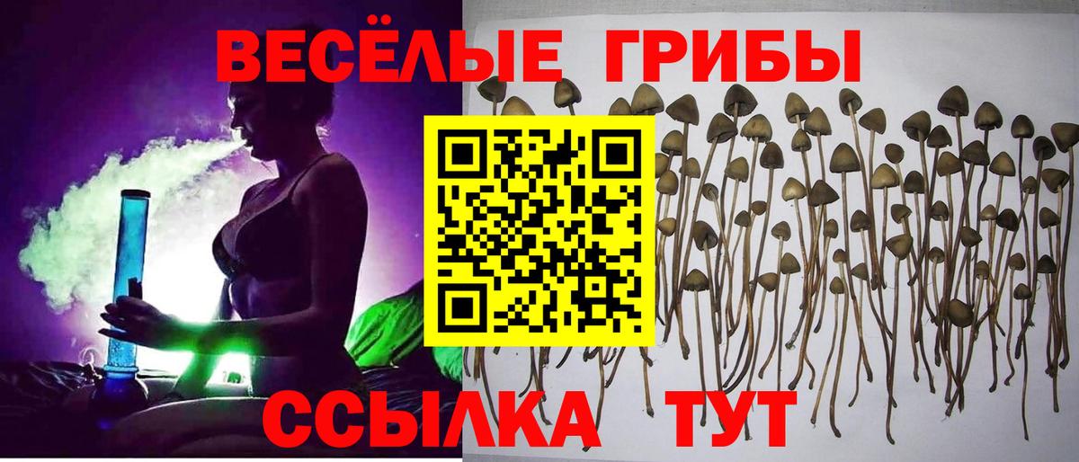 ГАШ  Cocaine  Славянск-на-Кубани  Меф МЯУ МЯУ кристаллы  LSD-25  Alpha PVP СОЛЬ кристаллы  Меф МЯУ МЯУ  Вход с VPN  Канабис 