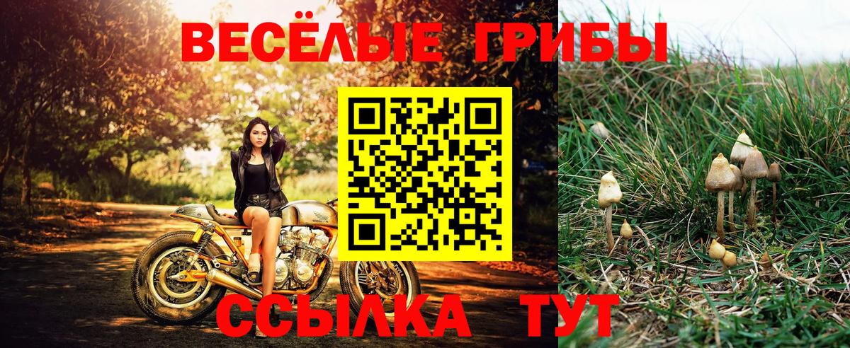 Славянск-на-Кубани  Псилоцибиновые грибы мицелий  Псилоцибиновые грибы Cubensis  Вход с VPN 